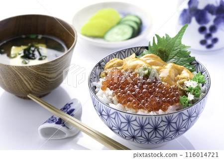 The best seafood bowl: Sea urchin and salmon roe bowl (white background) 116014721