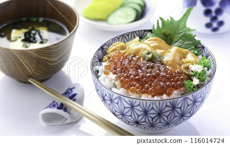 The best seafood bowl: Sea urchin and salmon roe bowl (white background) 116014724