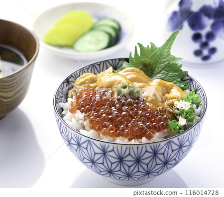 The best seafood bowl: Sea urchin and salmon roe bowl (white background) 116014728