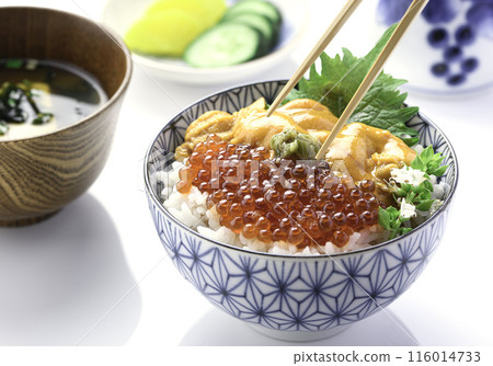 The best seafood bowl: Sea urchin and salmon roe bowl (white background) The best seafood bowl: Sea urchin and salmon roe bowl (white background) 116014733