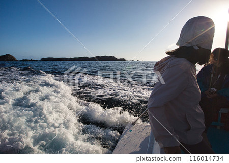 A violent wake seen from a ship A violent wake seen from a ship 116014734