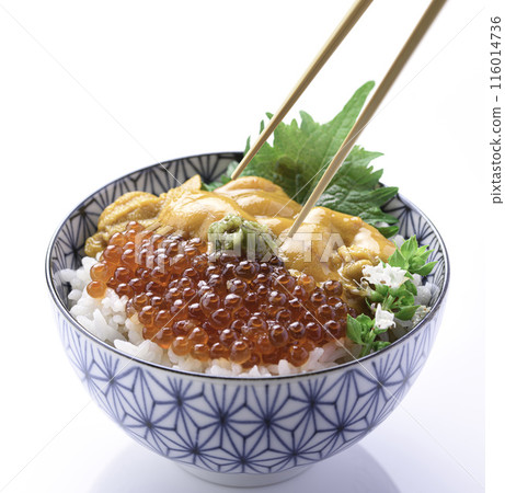 The best seafood bowl: Sea urchin and salmon roe bowl (white background) The best seafood bowl: Sea urchin and salmon roe bowl (white background) 116014736