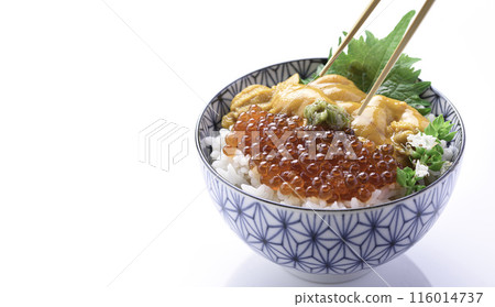 The best seafood bowl: Sea urchin and salmon roe bowl (white background) 116014737