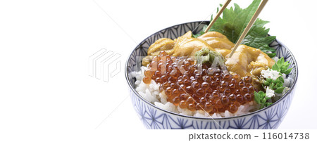 The best seafood bowl: Sea urchin and salmon roe bowl (white background) 116014738