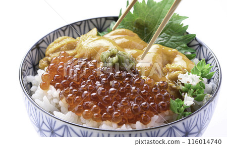 The best seafood bowl: Sea urchin and salmon roe bowl (white background) 116014740