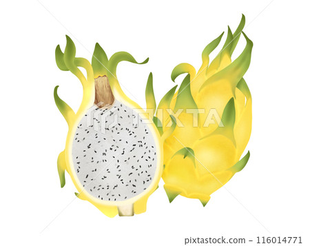 金龍火龍果 一顆半 金龍火龍果 一顆半 116014771