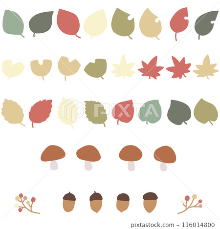 受秋天啟發的各種形狀的葉子、蘑菇和橡子的插圖集 116014800