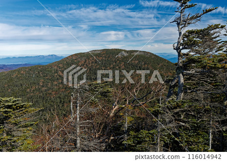 從山頂看到的三浦山和淺間山。 116014942
