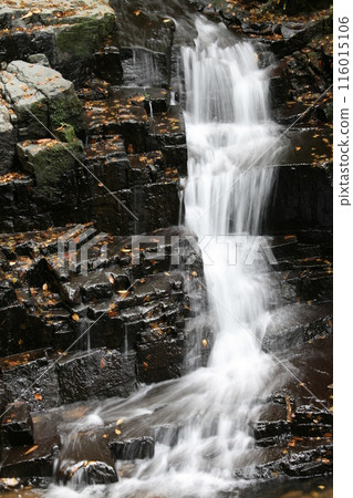 A small waterfall with autumn leaves near Shiraito Falls in Kamibayashi, Toon City, Ehime Prefecture A small waterfall with autumn leaves near Shiraito Falls in Kamibayashi, Toon City, Ehime Prefecture 116015106