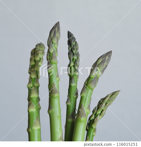 Fresh asparagus 116015251
