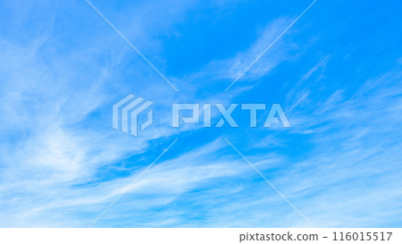 Blue sky 116015517