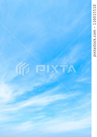 藍天 116015518