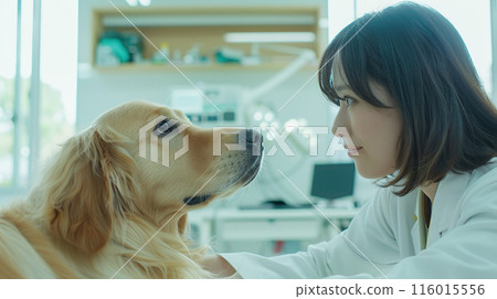 Asian female veterinarian 01 116015556
