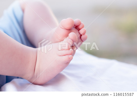 Legs close-up of newborn baby on light background Legs close-up of newborn baby on light background 116015587