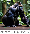 叢林中的大猩猩 116015595