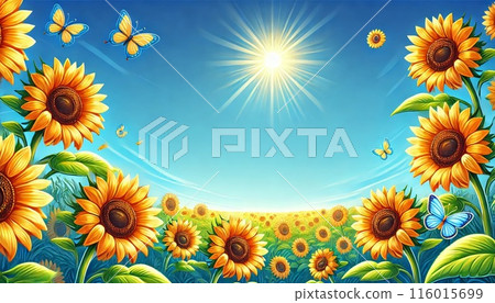 Shining sun and sunflower field 116015699