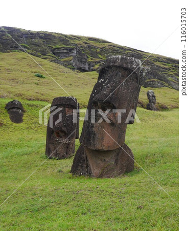 Vertical shot of the Moai statues at Rano Raraku in Rapa Nui National Park on Easter Island 116015703