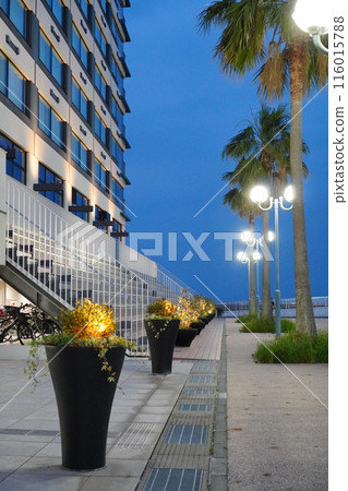 Urayasu City Sunrise 116015788