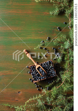 Juniper branches and seeds on a wooden background. Juniper branches and seeds on a wooden background. 116015913