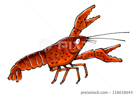 小龍蝦 小龍蝦 116016043