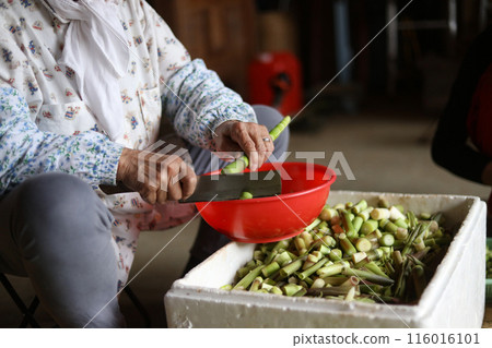 Cutting up bent bamboo 116016101