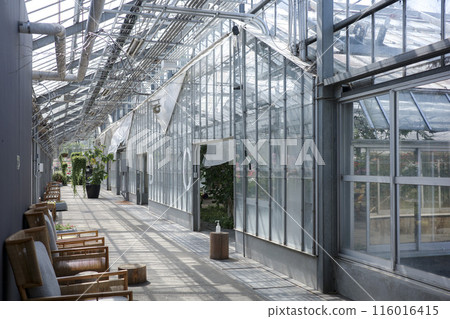 茨城花卉公園溫室 116016415