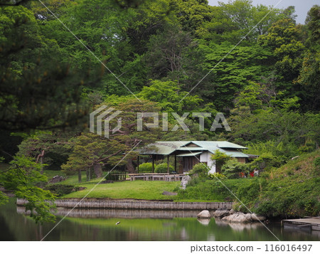 Fukiage Teahouse, located beyond the great spring water of Rikugien Garden Fukiage Teahouse, located beyond the great spring water of Rikugien Garden 116016497