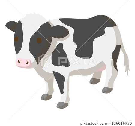 Cow  116016750