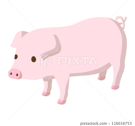 Pig  116016753