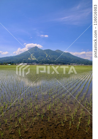 Paddy and Bandai (Fukushima · Inawashiro machi) 116016983