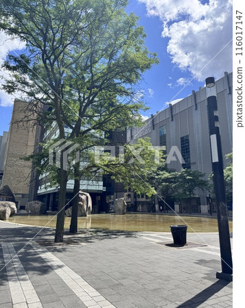 A summer view of Devonian Pond near the University of Toronto 116017147