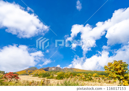 Myoko Kogen, Myoko-Togakushi National Park, Autumn, Fall Foliage Myoko Kogen, Myoko-Togakushi National Park, Autumn, Fall Foliage 116017153