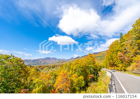 Myoko Kogen Park Line Autumn Foliage 116017154