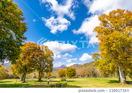Sasagamine Plateau - A refreshing plateau surrounded by the Myoko mountain range - Sasagamine Ranch - Prefectural Forest at the foot of Mt. Myoko - Niigata Yakeyama Sasagamine Plateau - A refreshing plateau surrounded by the Myoko mountain range - Sasagamine Ranch - Prefectural Forest at the foot of Mt. Myoko - Niigata Yakeyama 116017163