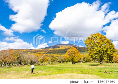 筱峰高原 - 被妙高群山包圍的清新高原 - 篠峰牧場 - 妙高山山麓的縣立森林 116017169
