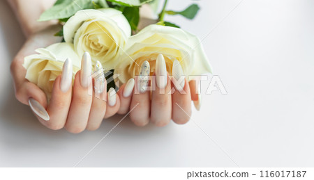 Female Hands with beautiful pearl manicure and white roses. Female Hands with beautiful pearl manicure and white roses. 116017187