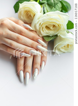 Female Hands with beautiful pearl manicure and white roses. Female Hands with beautiful pearl manicure and white roses. 116017188
