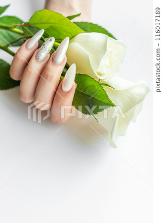 Female Hands with beautiful pearl manicure Female Hands with beautiful pearl manicure 116017189