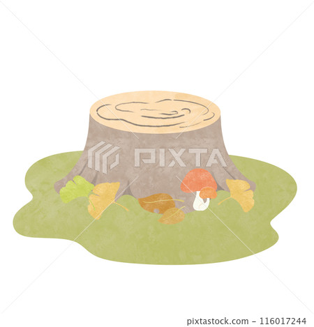 Autumn stump ginkgo with background Autumn stump ginkgo with background 116017244