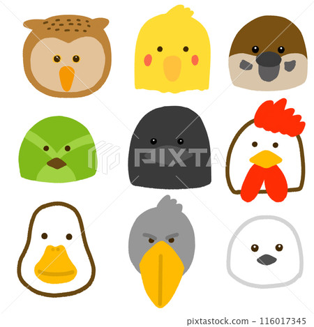 Set of various bird faces Set of various bird faces 116017345