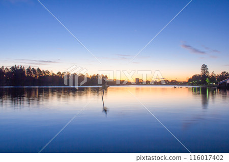 水元公園和早晨的陽光 水元公園和早晨的陽光 116017402
