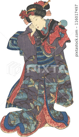 Ukiyo-e illustration Ukiyo-e illustration 116017497