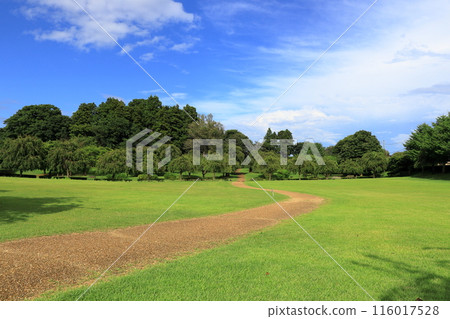 The green space of the historic site of Neshiro Square (Aomori Prefecture) 116017528