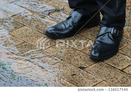 Puddle and businessman's shoes Puddle and businessman's shoes 116017540