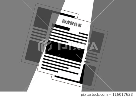 調查報告塗黑 116017628