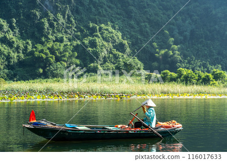 Vietnam Hanoi: Rowers on a Ninh Binh boat tour rowing a river in a valley 116017633