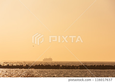 Tsugaru Kaikyo Ferry departing from Oma, Aomori Prefecture Tsugaru Kaikyo 116017637