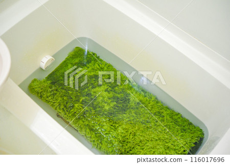 Washing rugs in the bathtub 116017696