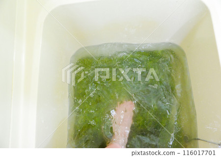 Washing a rug in the bathtub by stepping on it 116017701