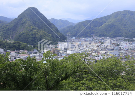 日本第一的下田繡球花節 日本第一的下田繡球花節 116017734